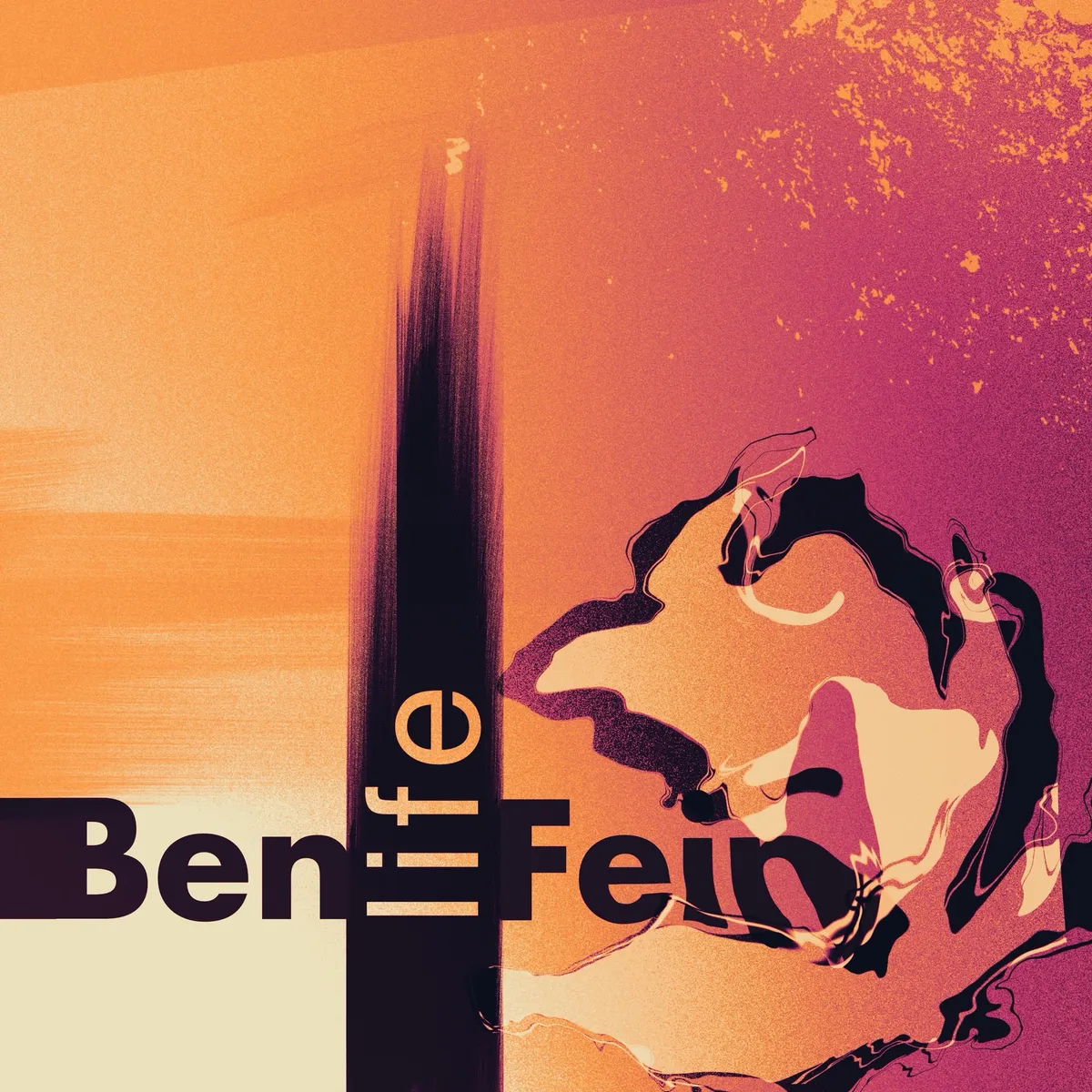 Album cover: Ben Fein – Life